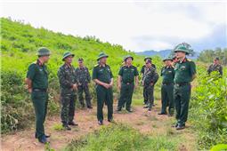 Quân khu kiểm tra công tác trồng, chăm sóc rừng năm 2024 và diện tích rừng thiệt hại do bão số 3 gây ra